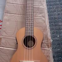 strumenti musicali 