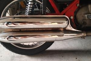 Marmitta moto Guzzi nuovo falcone militare