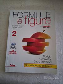 Formule e figure 2