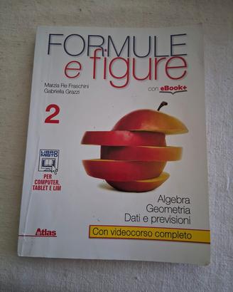 Formule e figure 2