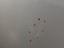 Immagine 23