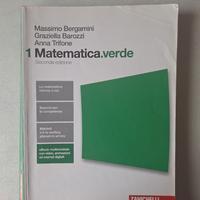 matematica verde 1