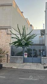 CASA INDIPENDENTE A CASAMASSIMA