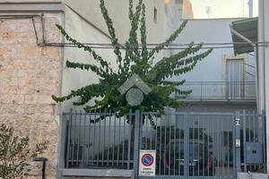 CASA INDIPENDENTE A CASAMASSIMA