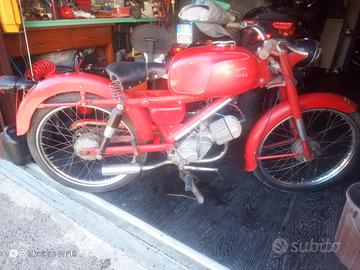 motociclo