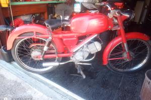 motociclo
