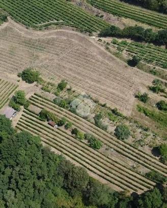 TERRENO A SAN MARTINO BUON ALBERGO