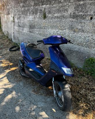 pezzi sr esquire