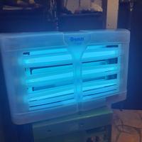 "GOLMAR GENUS ORBIT "