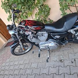 harley davidson  883