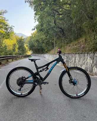 Pivot FireBird