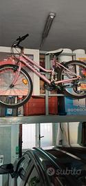 Bicicletta