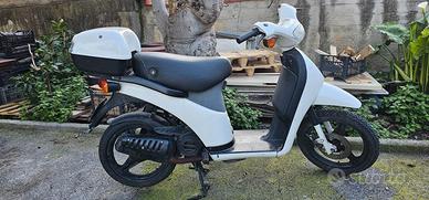 scooter 50 Piaggio Free