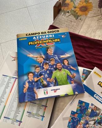 Album giocatori Panini