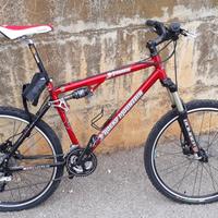 Mountain bike professionale