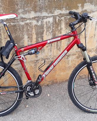 Mountain bike professionale