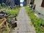 Immagine 22