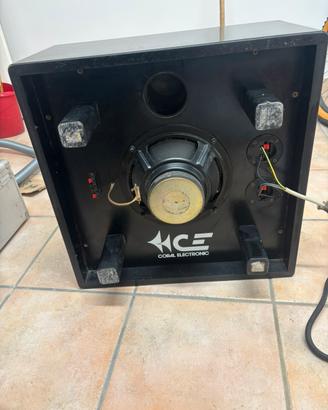 Coral electronic subwoofer