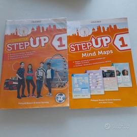 Step up 1