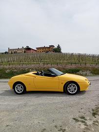 alfa spider 