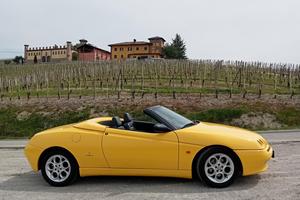 alfa spider 
