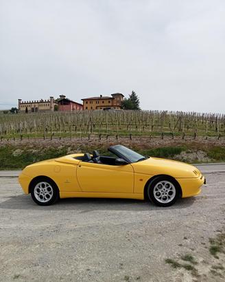alfa spider 