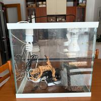 Teca con apposite lampade e termometro