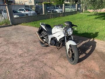 Kymco Quannon 125 - 2012