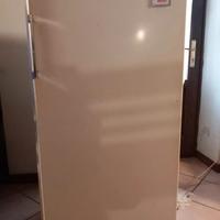 frigo Rex 