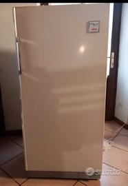 frigo Rex 