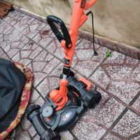 taglia erba taglia bordi