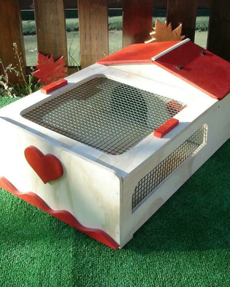 Terrario per tartarughe cm 62x40x20 decorato
