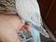 Immagine 2