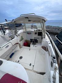 Motoscafo semicabinato 40cv