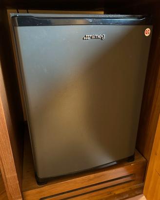 Frigobar SMEG Professionale - Mini Frigo