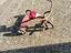 Immagine 1