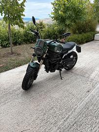 Moto Benelli Leoncino 800 Trial