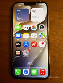 Impeccabile iPhone 13 Pro Max argento