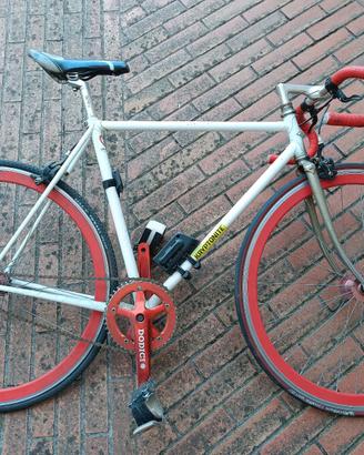 Bicicletta uomo (anche scatto fisso)