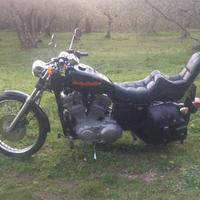 Harley Davidson 883c 1999