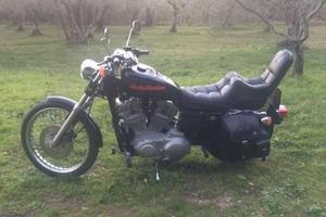 Harley Davidson 883c 1999