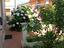 Immagine 9