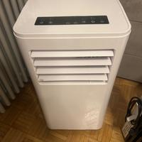 Pinguino aria condizionata e calda