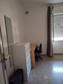 Zona pallotta - camera singola a studentessa
