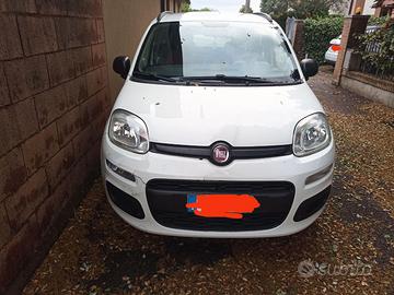 FIAT Panda  S&STOP   1.3 JTD  4 POSTI     EURO 5