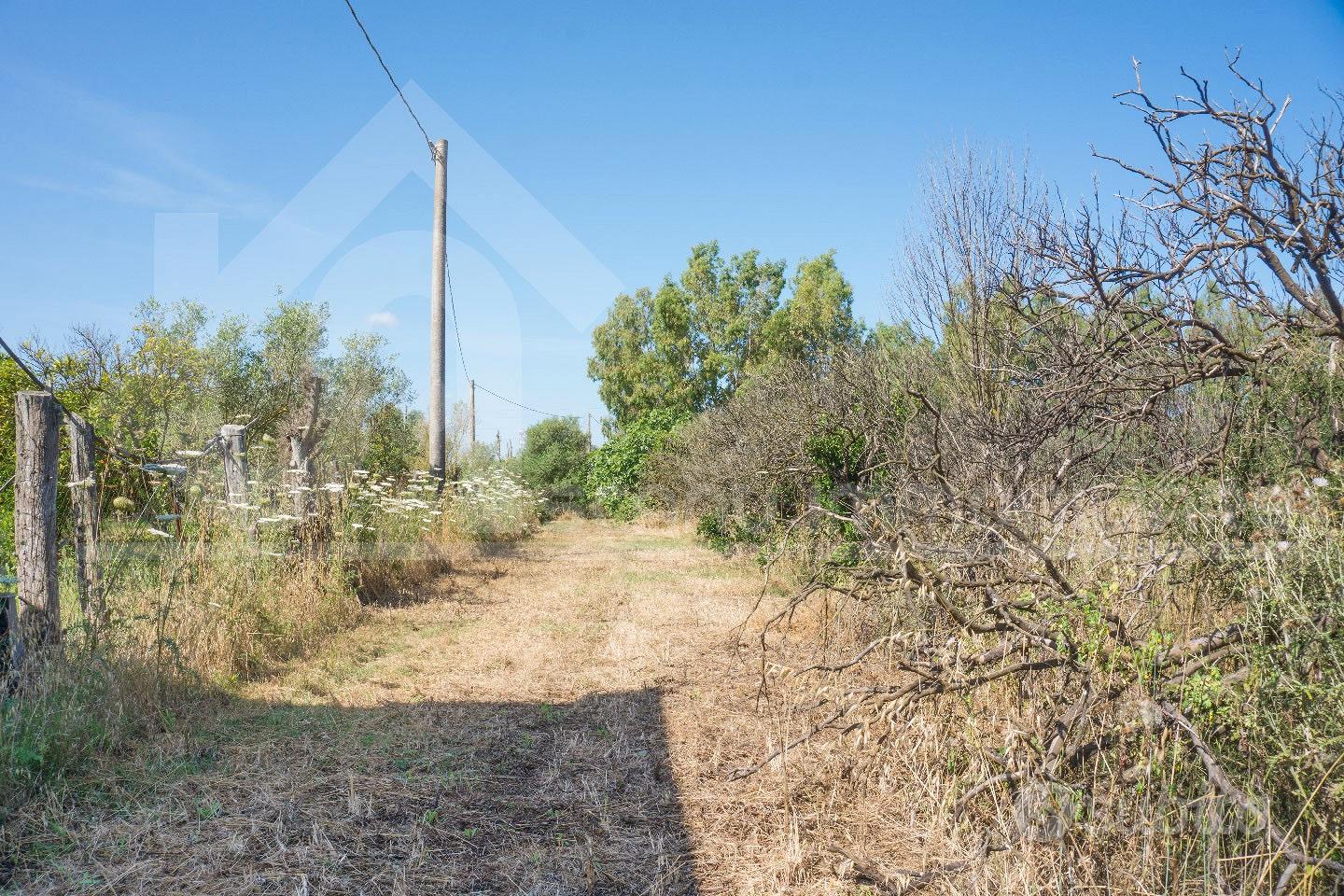 Monastir terreno agricolo con pozzo e elettricità - Vista 4