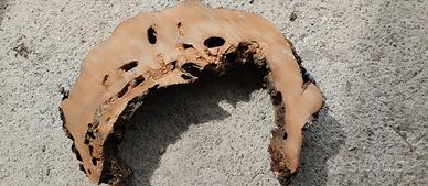 Sezione di ciliegio per tavolo in resina