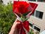 Immagine 5