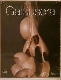 Pasquale Galbusera - Viaggio di sola andata