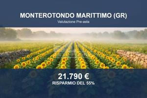 Immobile in asta di 72094 m² a Monterotondo Maritt